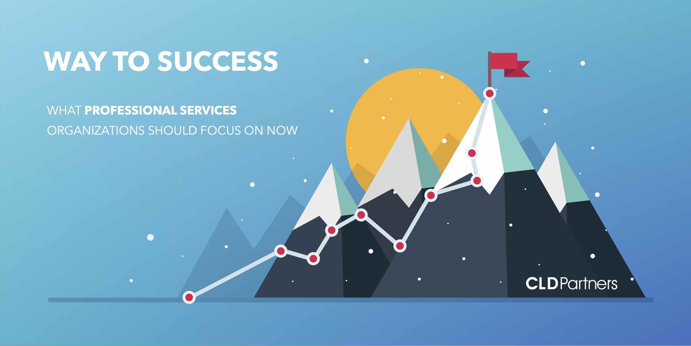 Way to Professional Services Success with an expert guide like CLD Partners