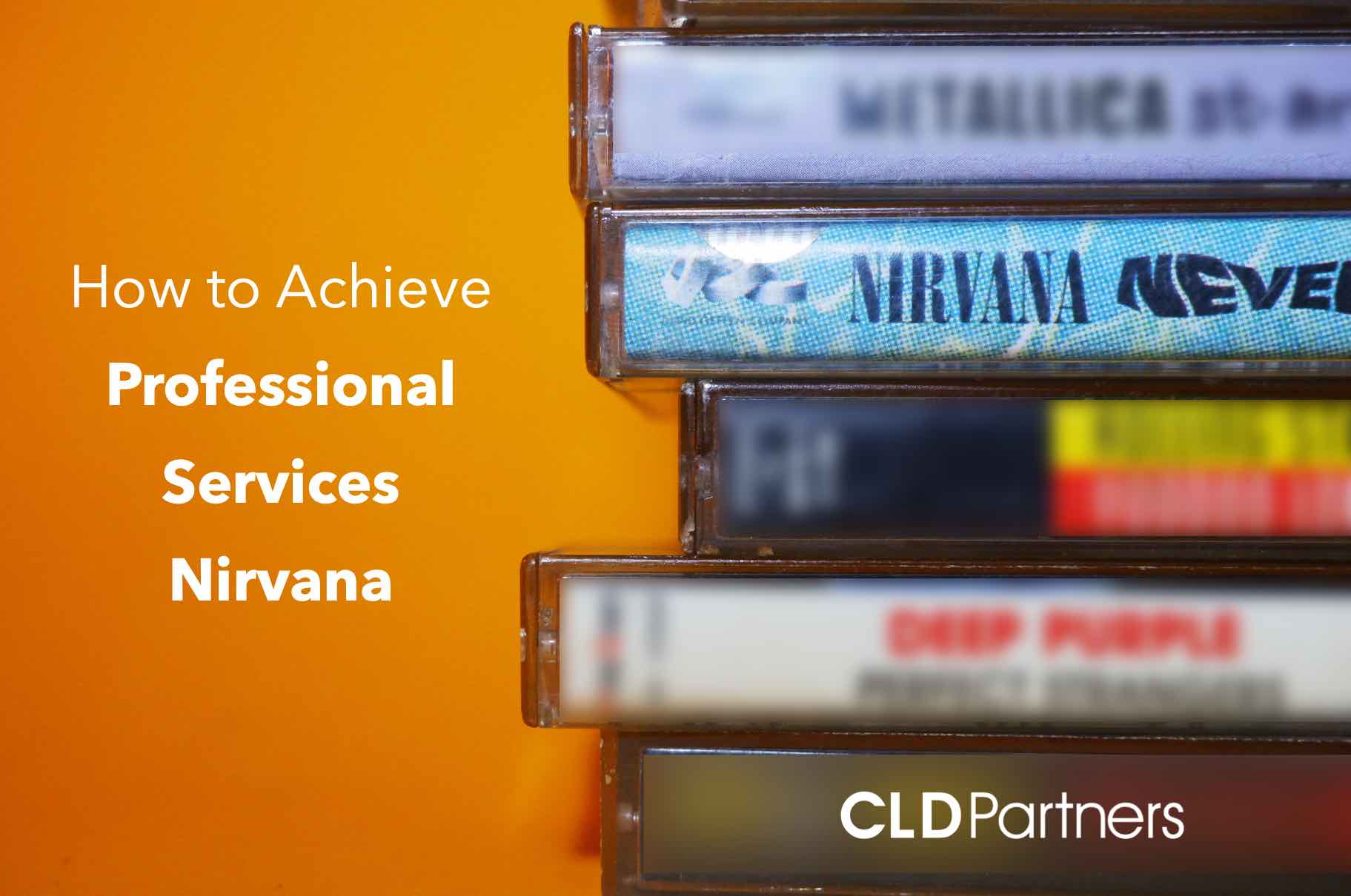 how to achieve Professional Services Nirvana with FinancialForce and CLD